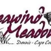 Seawind Meadows, LLC