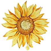 Smude Sunflower Oil