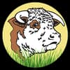 sommers ranch grass fed beef