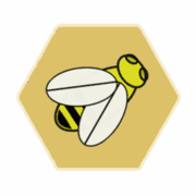 Spicer Bees
