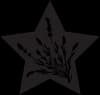 Star Bright Farm