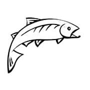 Sunburst Trout Farms and Market
