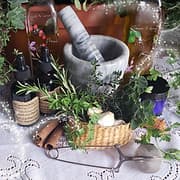 Sweet Caroline's Botanicals