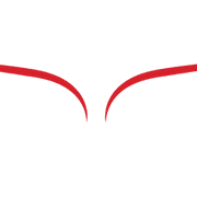 The Black Swan Company