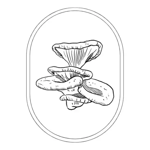 The Champignon Cellar
