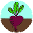 The Growing Roots Garden