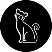 The Little Cat