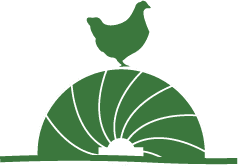 Tide Mill Organic Farm