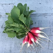 Tilth & Timber