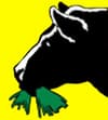 Tink's Grass-Fed Beef