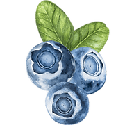 Triple Delight Blueberries