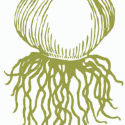 Willow Wisp Organic Farm