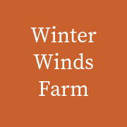 Winter Winds
